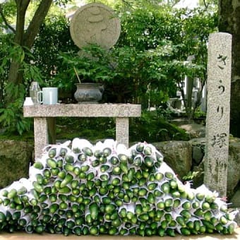 引っ越し先　はてなブログ