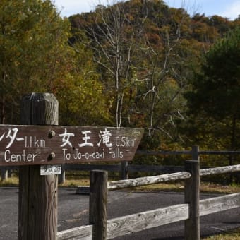 近所でウロウロ、、、ヱヴァ500系、紅葉などなど（１１月１６日）