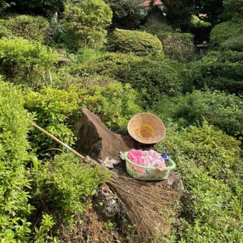 集落の道掃除です。