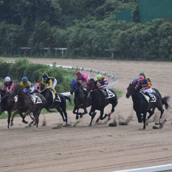 佐賀～長崎をウロウロドライブ！（１日目、佐賀編）
