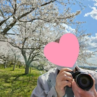 春のお花見ダイジェスト