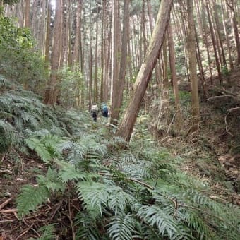 二上山　２　頂上と大岩