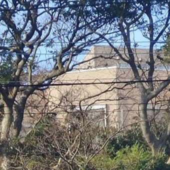 佐賀の美食と開運祈願　佐賀県・玄海諸島有人島全８島めぐり３日間　４４回目　松島