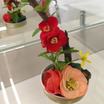 花言葉