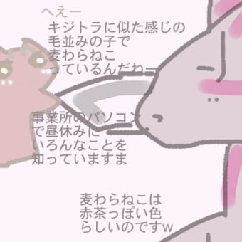 スマホポーチに小銭入れが便利だよw