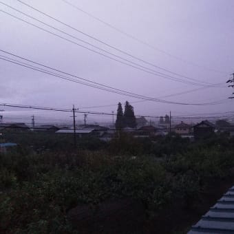 今朝は雨