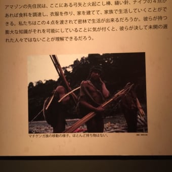 大アマゾン！
