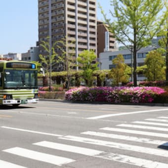 今年のつつじは早かった