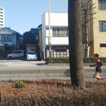 ☆埼玉県駅伝　会社の目の前を疾走！＆みそ作りイベント大成功♪☆