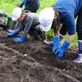 今年度も取り組みます「食農教育」