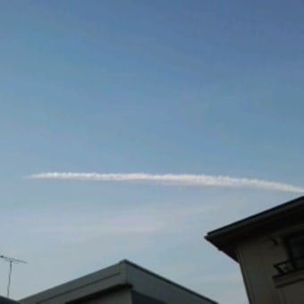 やった♪