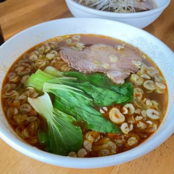 別天地のさのさかで快適すべりとバイン&オガサカ試乗会からネギラーメンとアイスのフルコース！