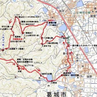 二上山　２　頂上と大岩