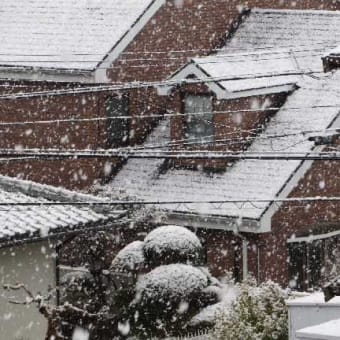 やはり「雪」・いちだんと冷え込む