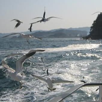 津軽海峡冬景色♪