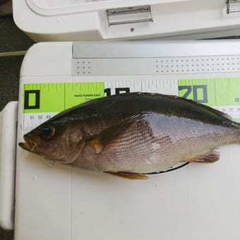超絶の旨さでした