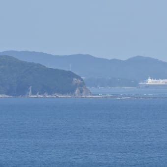 にっぽん丸（あしずり港入港）など（１日目）、四万十テツなど（２日目）で高知をうろうろドライブ！