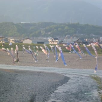 そこそこトラバース～町石道完全踏破～