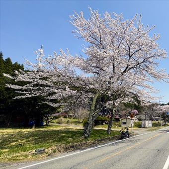 ふぉとしょっぷ　すげ〜