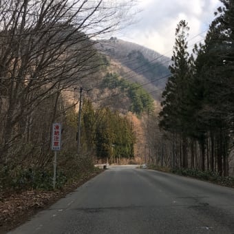 我が家の車は季節のタイムマシン