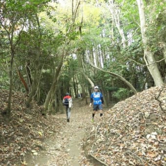 大文字山　を　歩く