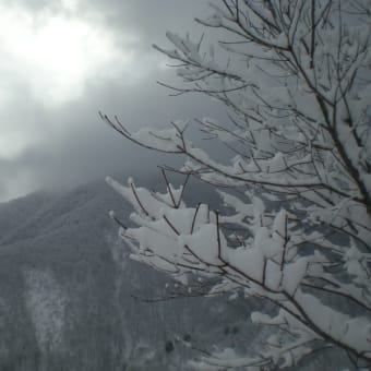 雪景（part2）＠白馬連峰