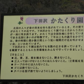 かたくりの花