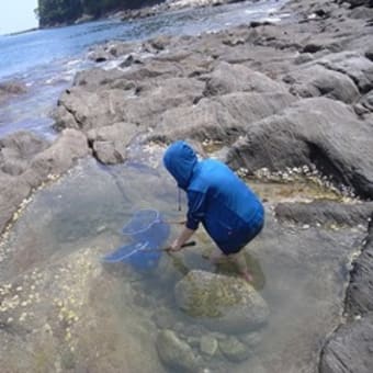 琴ヶ浜