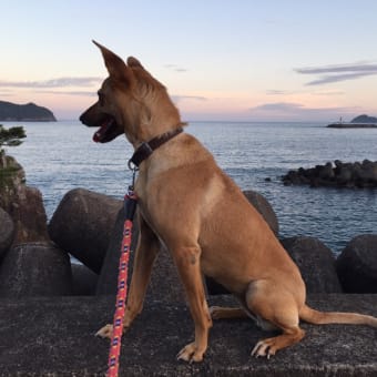 お袋さんへ。