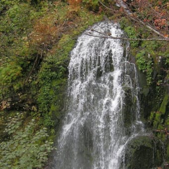 平山　（5山目）