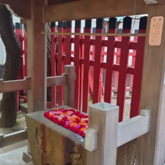 2024年・春の白山神社参拝