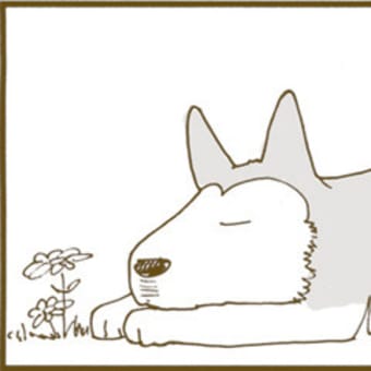 人気ダウンロード くるねこ アニメ 100話 Freepnggejp8hit 人気ダウンロード くるねこ アニメ 100話 Freepnggejp8hit