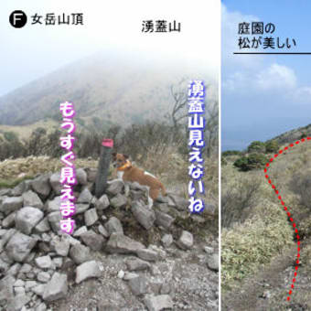 八丁原登山口より一目山・ミソコブシ・湧蓋山往復縦走する