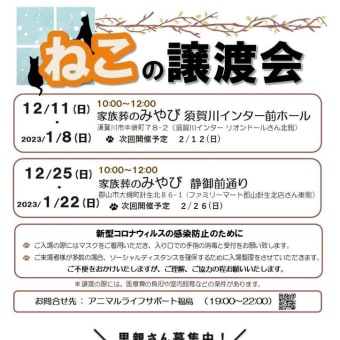 ちょっとは進展　カメの歩みね