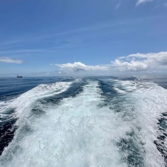 最終戦でようやく坊主脱出w〜2025外房ヒラマサカップ