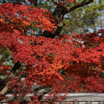 高台寺