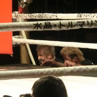 ＊ Pancrase: Sept. 2012