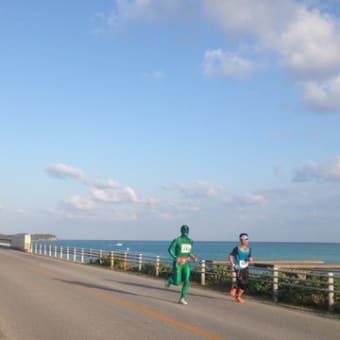 【完走記】宮古島100kmワイドーマラソン2014　すばらしい景色でした
