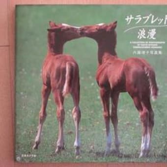 馬の写真家　内藤律子さん。