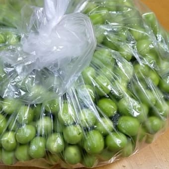 うすいえんどうの真実
