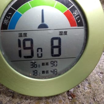令和7年6月18日・今朝の東祖谷19℃（19.0℃）