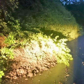 大雨による規制情報（H29.8.25 13:00現在）※最終