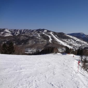 DAY８ 春スキー！でもヤケビ日帰りはやっぱり遠い～志賀高原 焼額山スキー場～