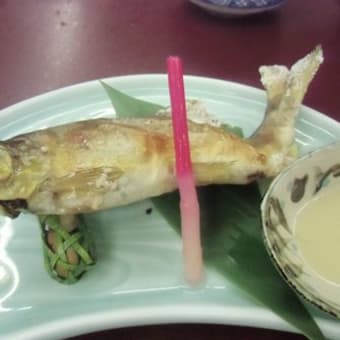 郡上八幡にいってきました