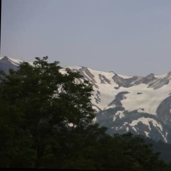 白馬五竜高山植物園、栂池高原、八方尾根の花々