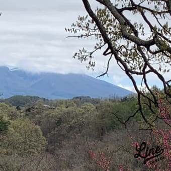 今日も元気に