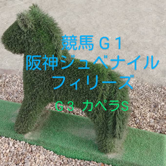 競馬G1　阪神ジュベナイルフィリーズ　G3　カペラステークス　最終予想と買い目