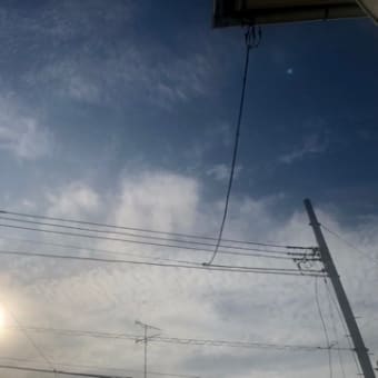 とらぷぅ💥情報＋天気6/19 とら参戦⁉️💦