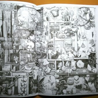 洋書塗り絵『Colin Thompsons Fantastisches Malbuch』到着！