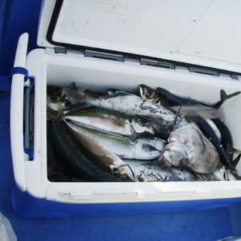 沖釣り（９目釣り）